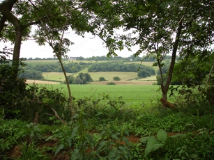 Picture of the Hogs Back from Puttenham